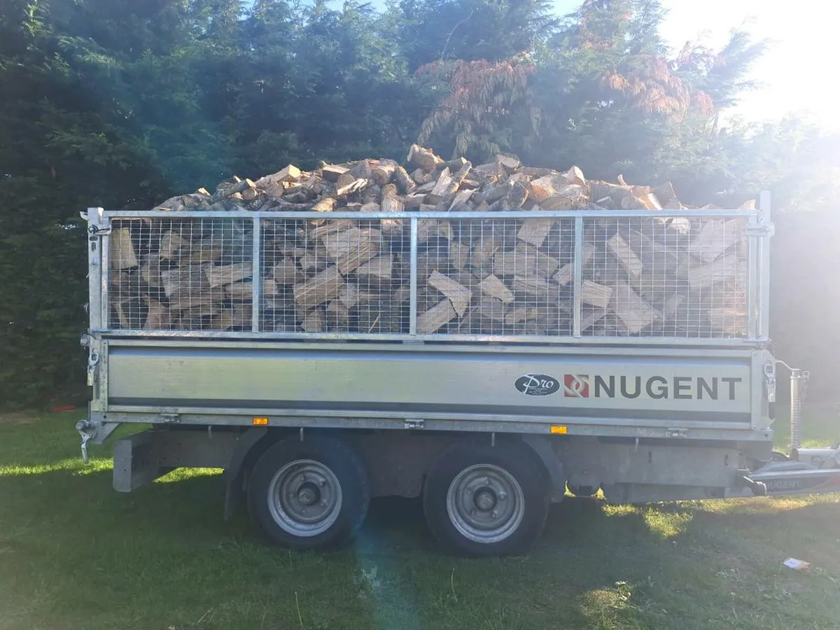 Ash firewood - Image 2