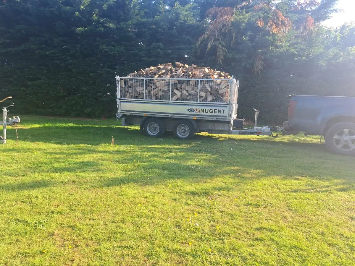 Ash firewood - Image 3