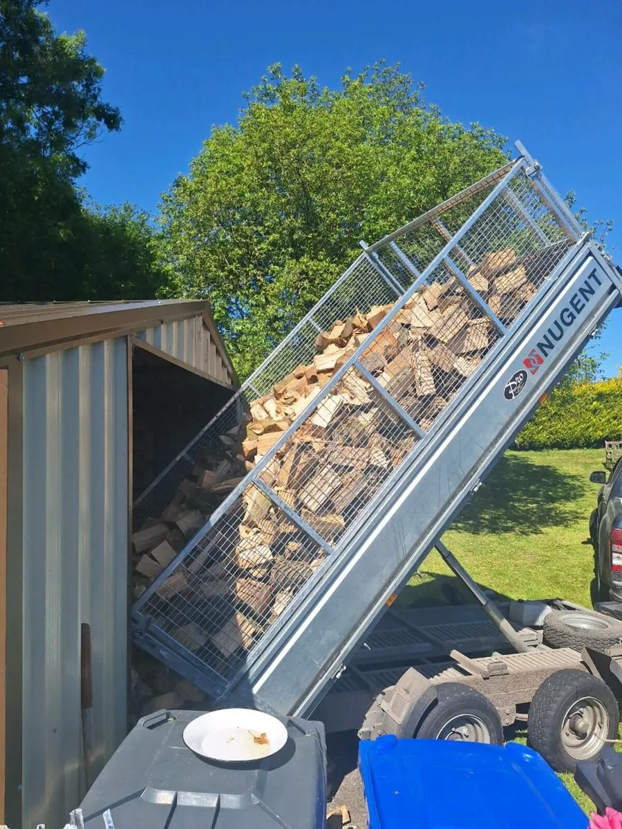 Ash firewood - Image 4