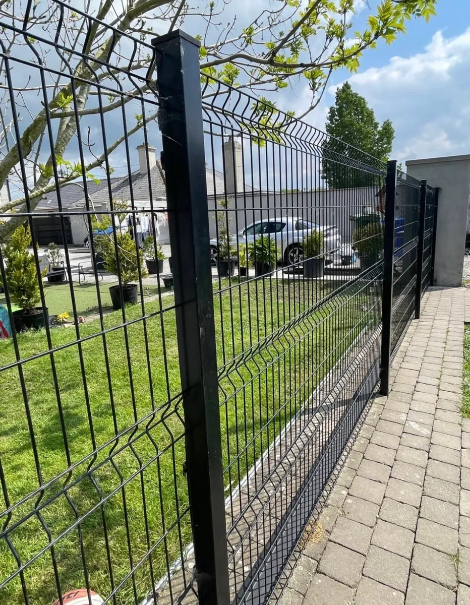 Classy Dog Runs Ireland - Image 3