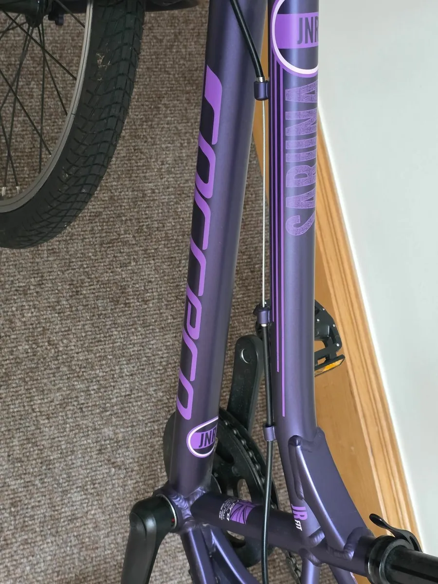 Kids Bike - Carerra Saruna - Image 4