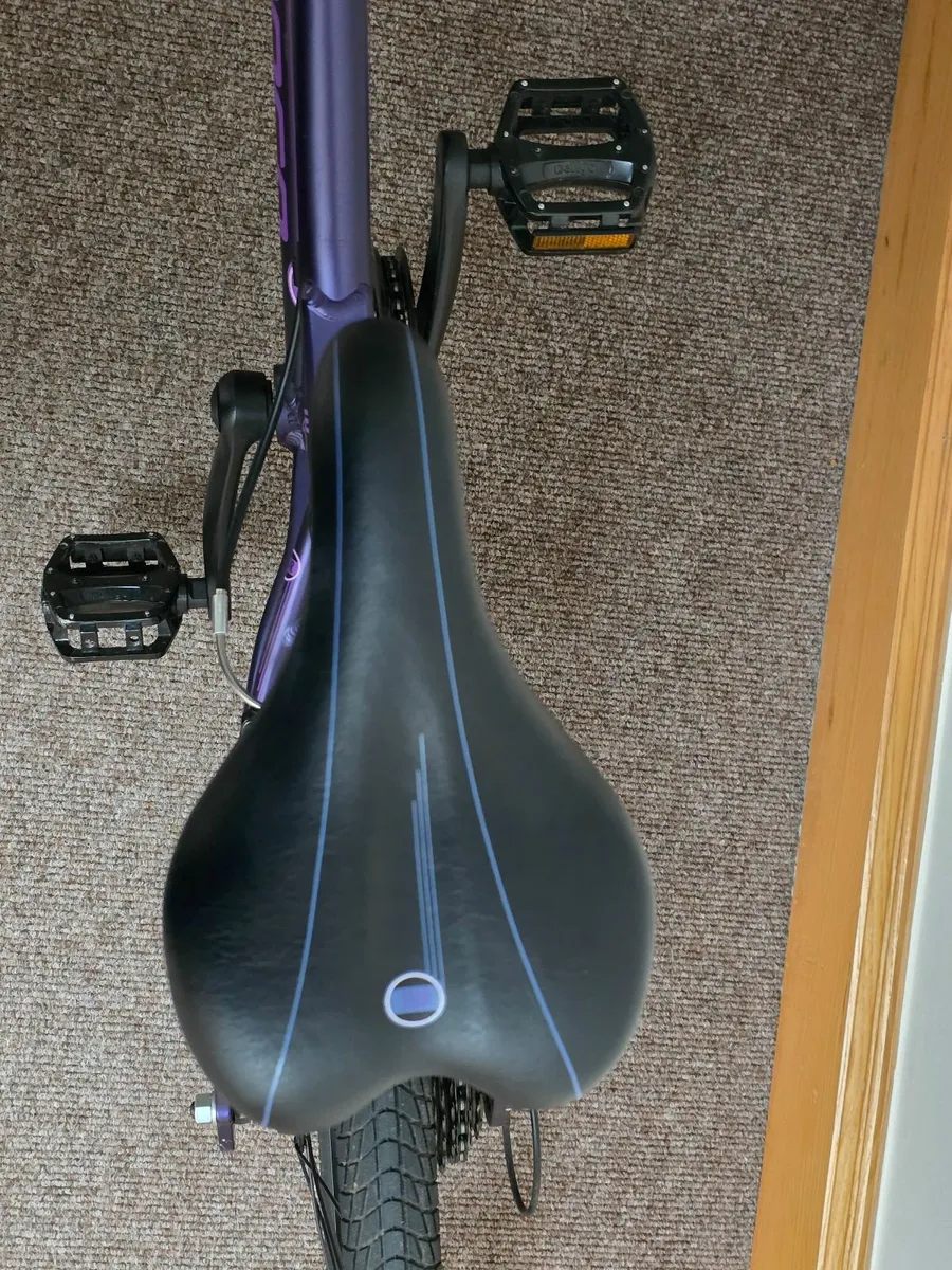 Kids Bike - Carerra Saruna - Image 3