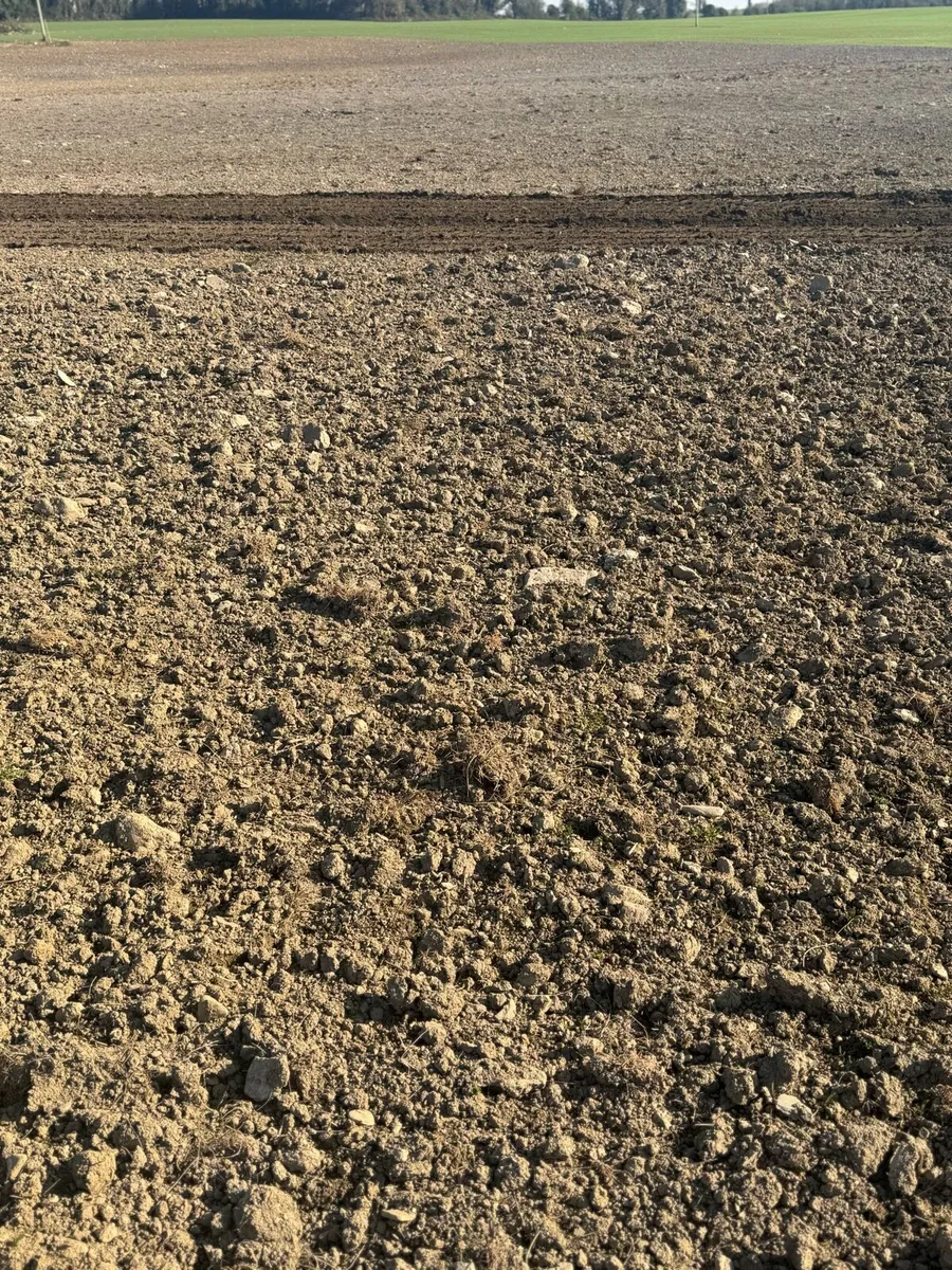 Tractor mounted forestry and stone tiller - Image 3