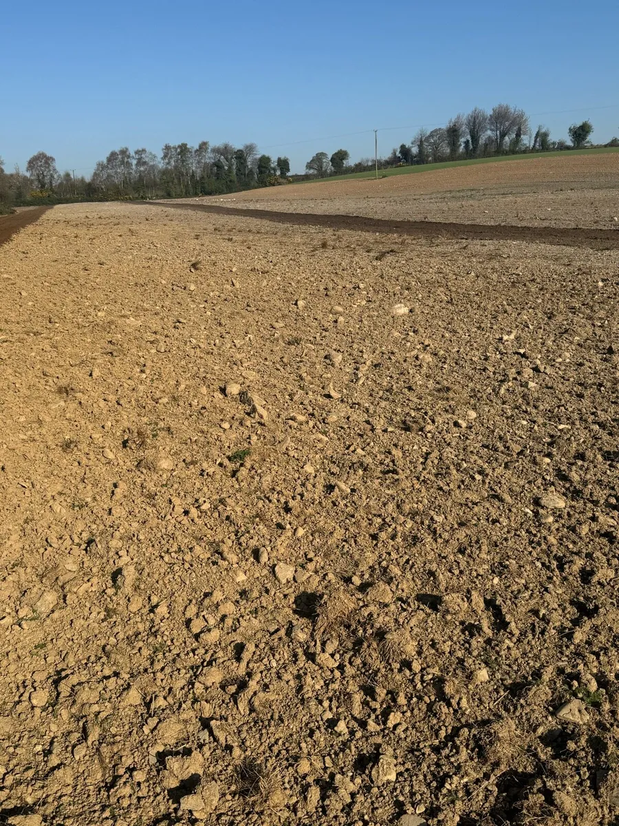 Tractor mounted forestry and stone tiller - Image 4