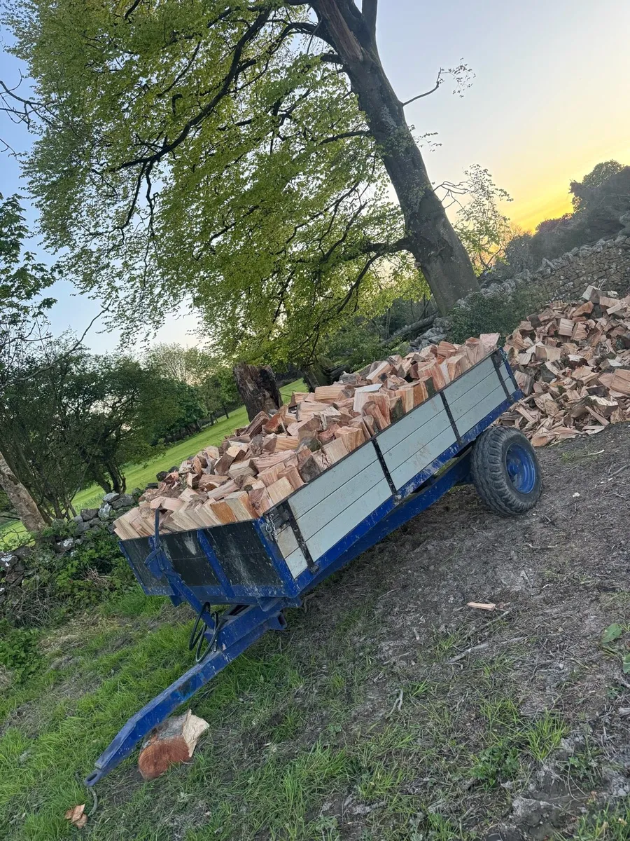 Beech Firewood - Image 3