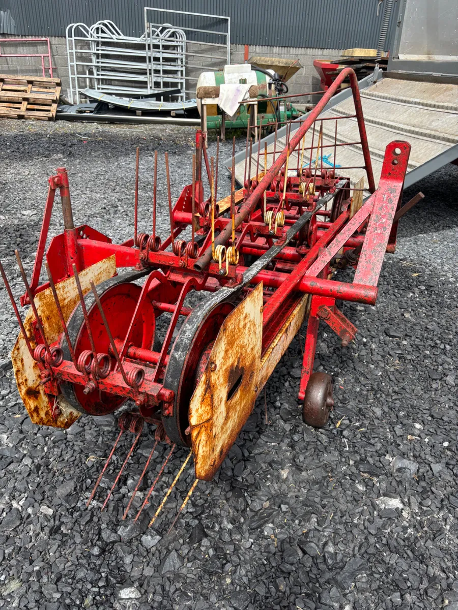 Vicon hayman - Image 4