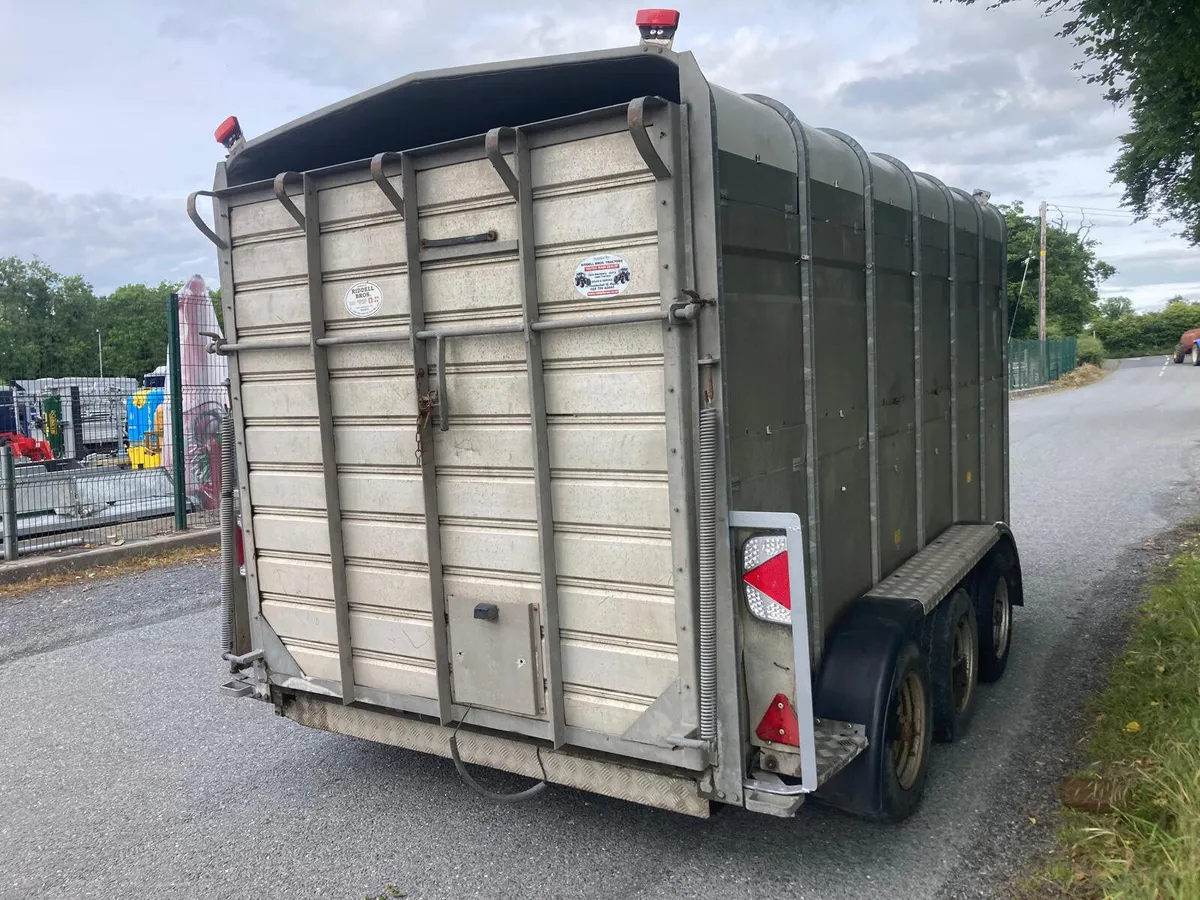 Hudson 12ft Cattle Trailer Serviced - Image 2