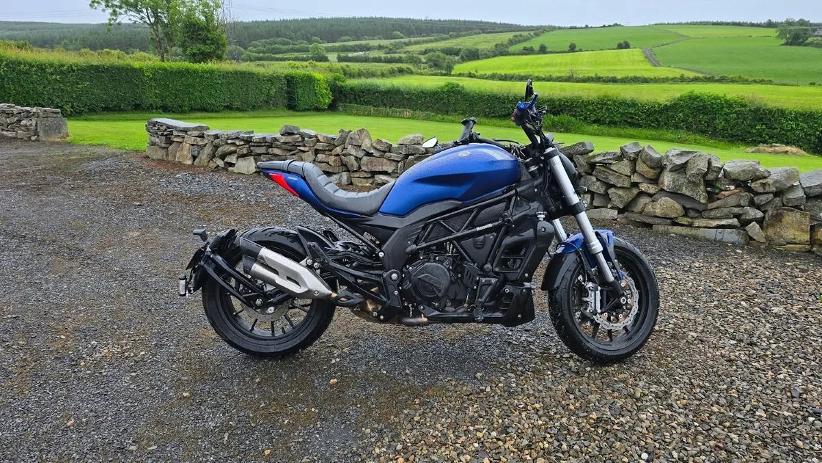 BENELLI 502C blue 2021 - Image 2