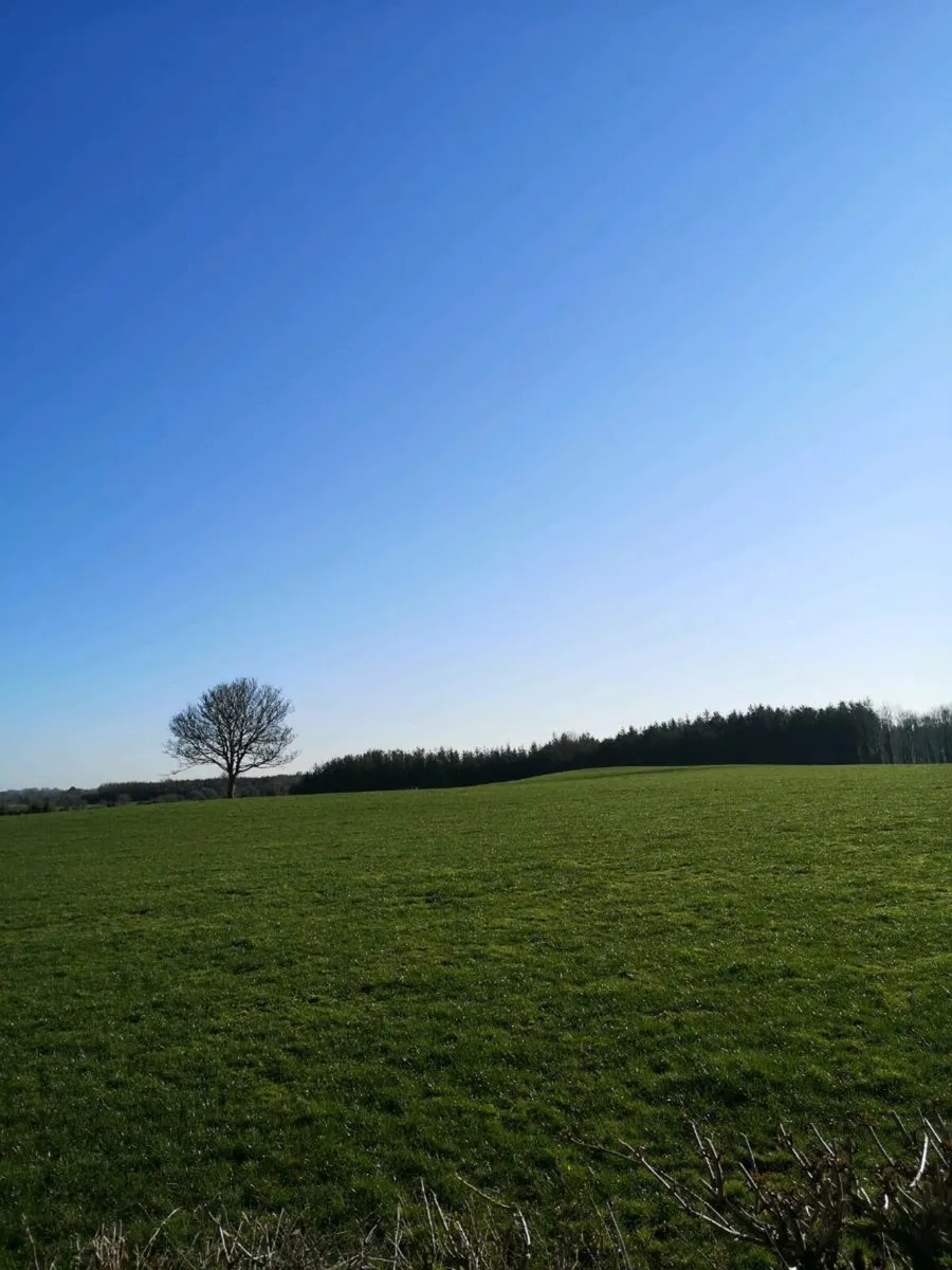 Síte for sale - Image 4