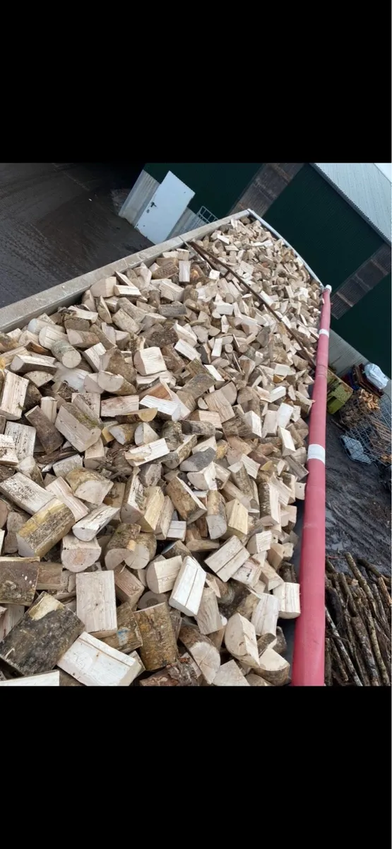 Kiln dried firewood - Image 3