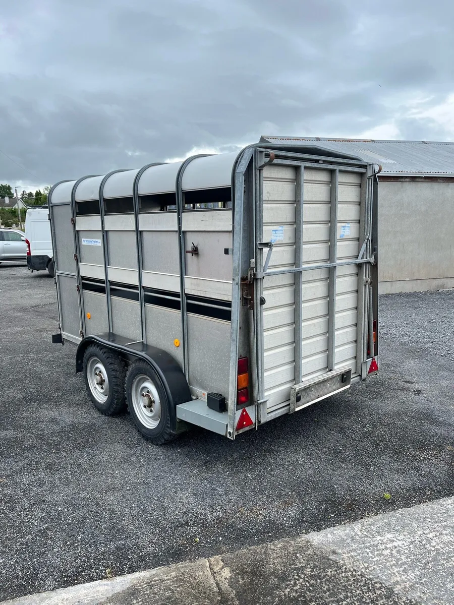 Ifor Williams Sheep Trailer - Image 3
