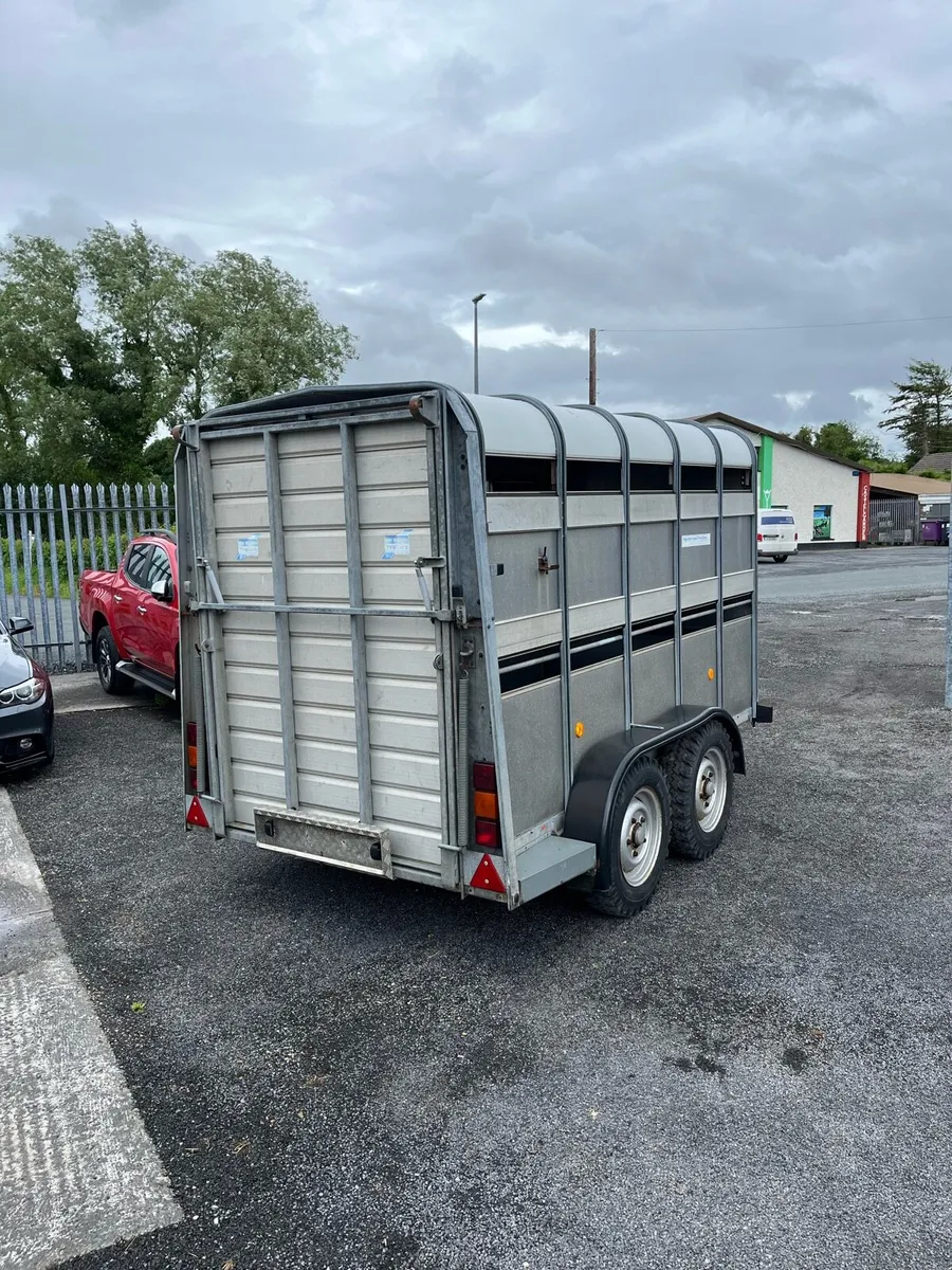 Ifor Williams Sheep Trailer - Image 4