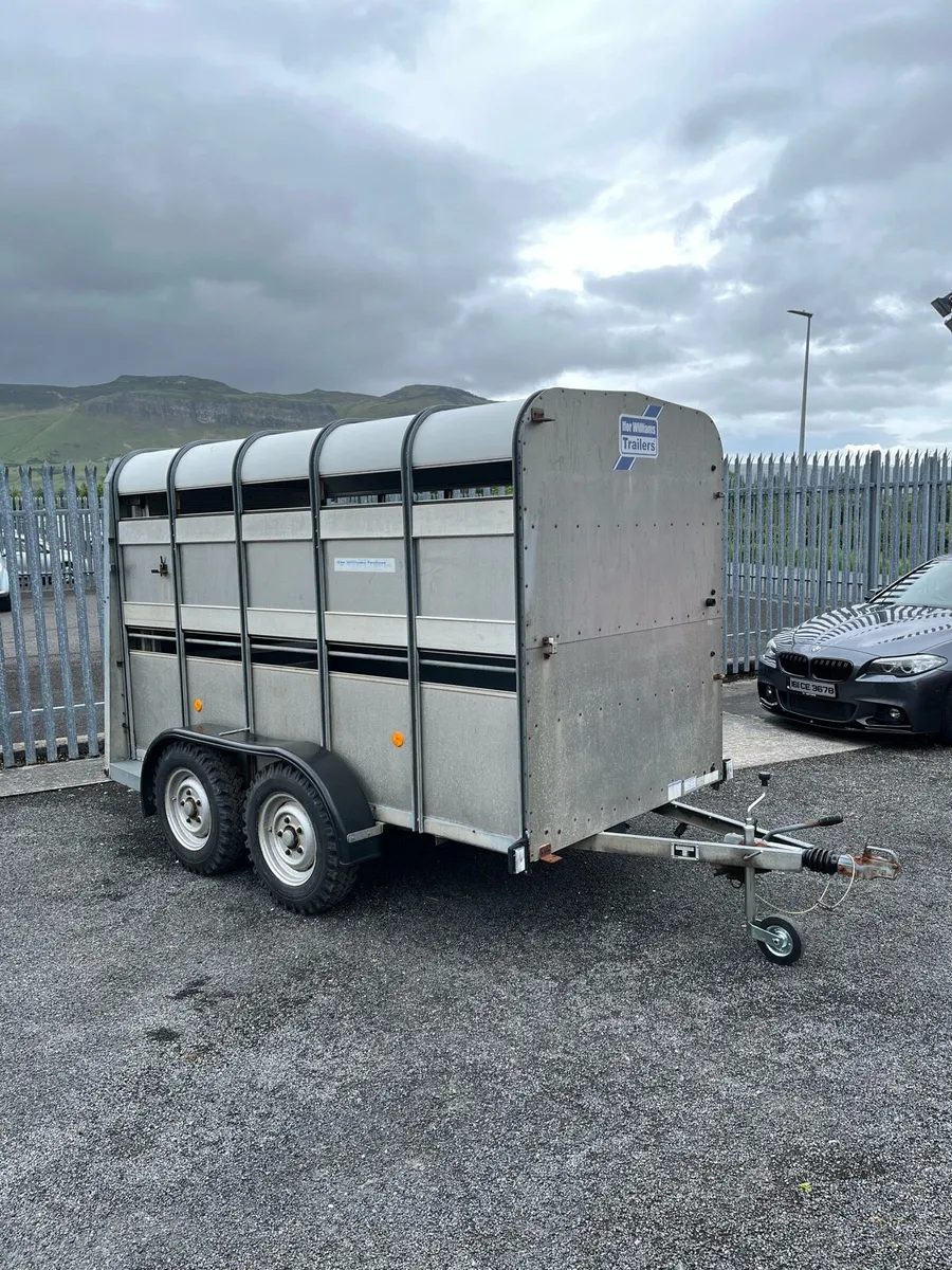 Ifor Williams Sheep Trailer - Image 2