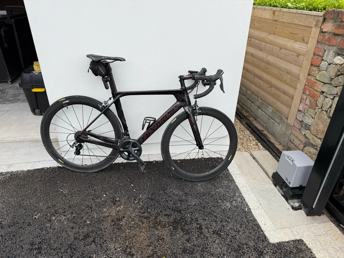 Olympia Fully carbon racing bike - Image 1