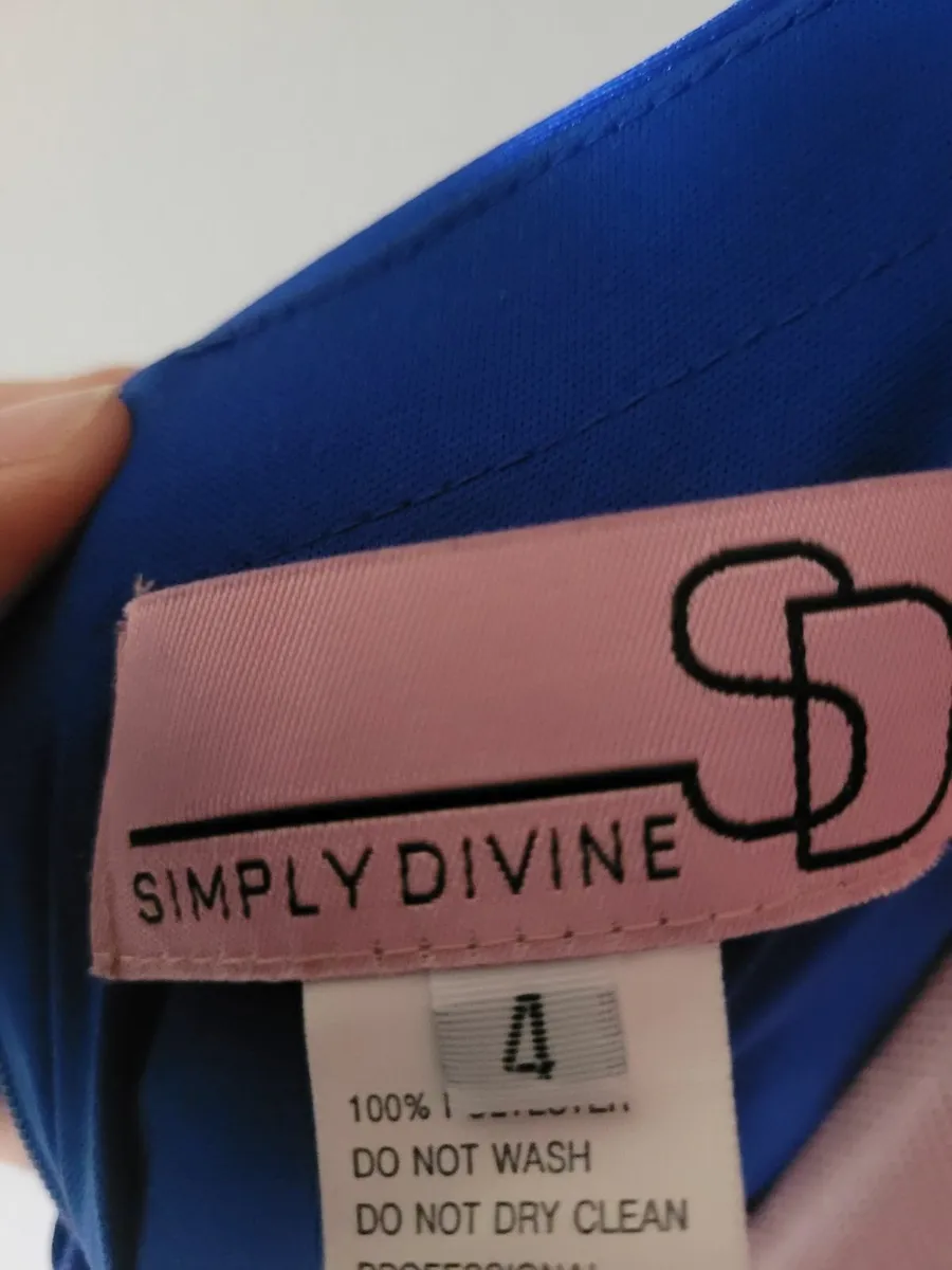 TY ball dress by Simply Divine - Image 4