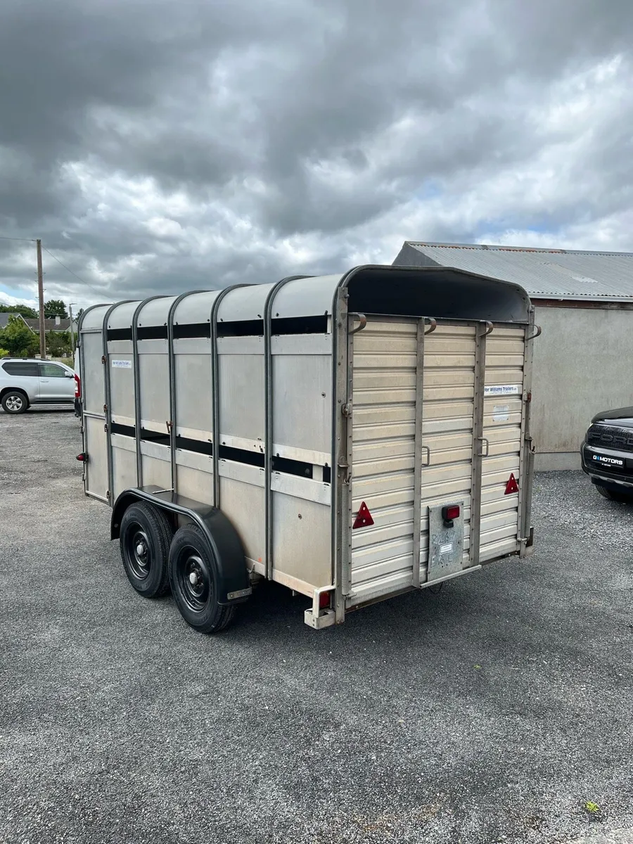 Ifor Williams Livestock Trailer - Image 3