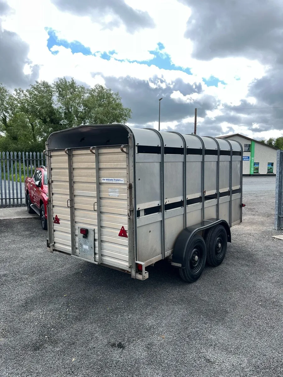 Ifor Williams Livestock Trailer - Image 4