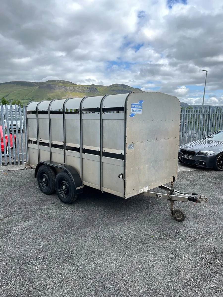 Ifor Williams Livestock Trailer - Image 1