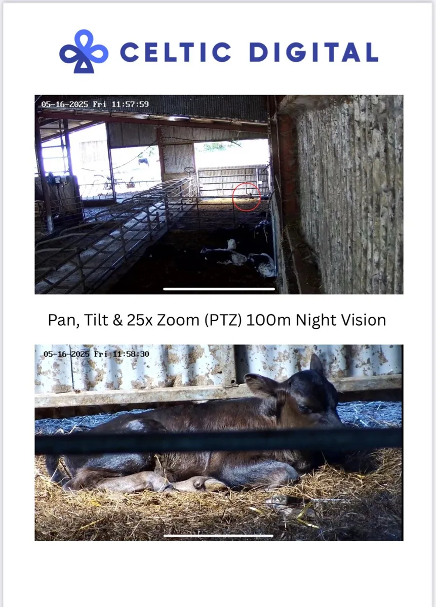 Livestock Cameras – Calving, Foaling & Lambing - Image 3