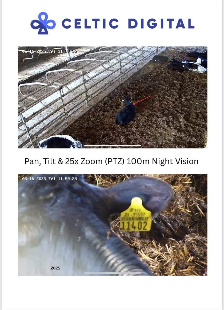 Livestock Cameras – Calving, Foaling & Lambing - Image 3