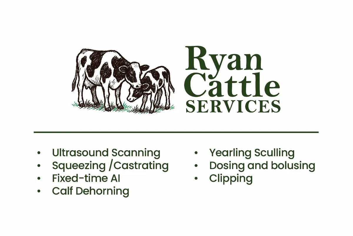 Cattle Services: Scanning, squeezing & Dbud - Image 1