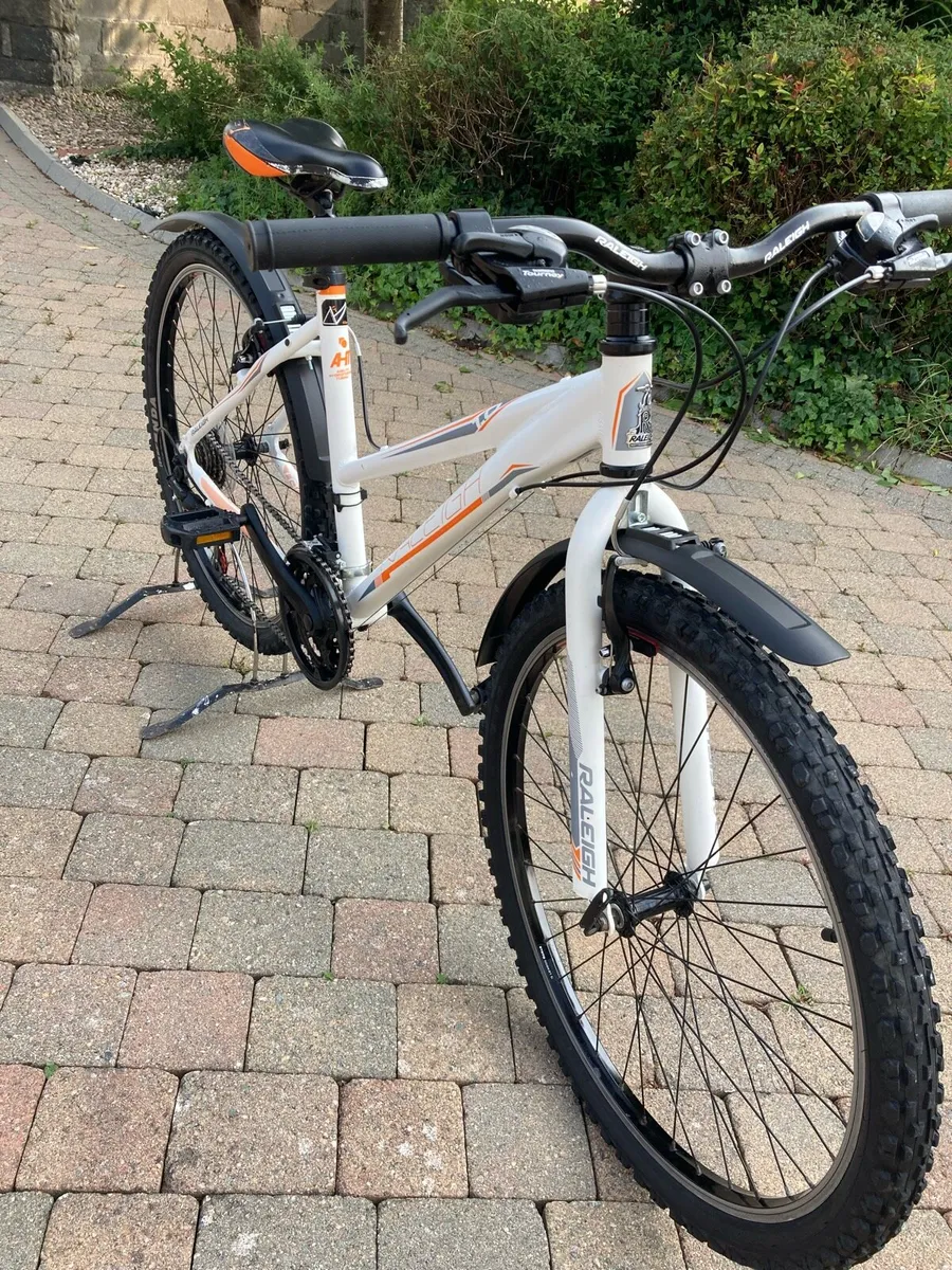 Raleigh Talus 1.0 mountain bike - Image 2
