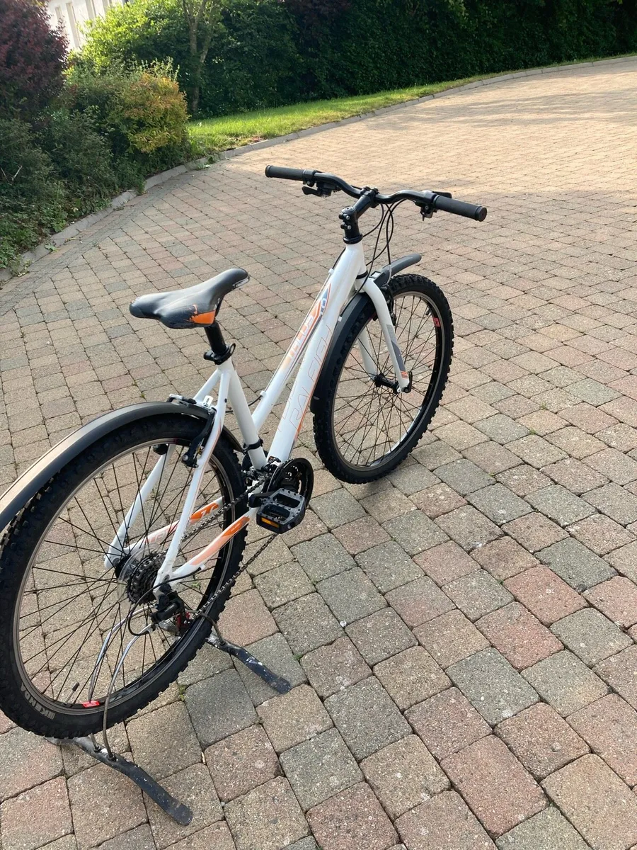 Raleigh Talus 1.0 mountain bike - Image 4