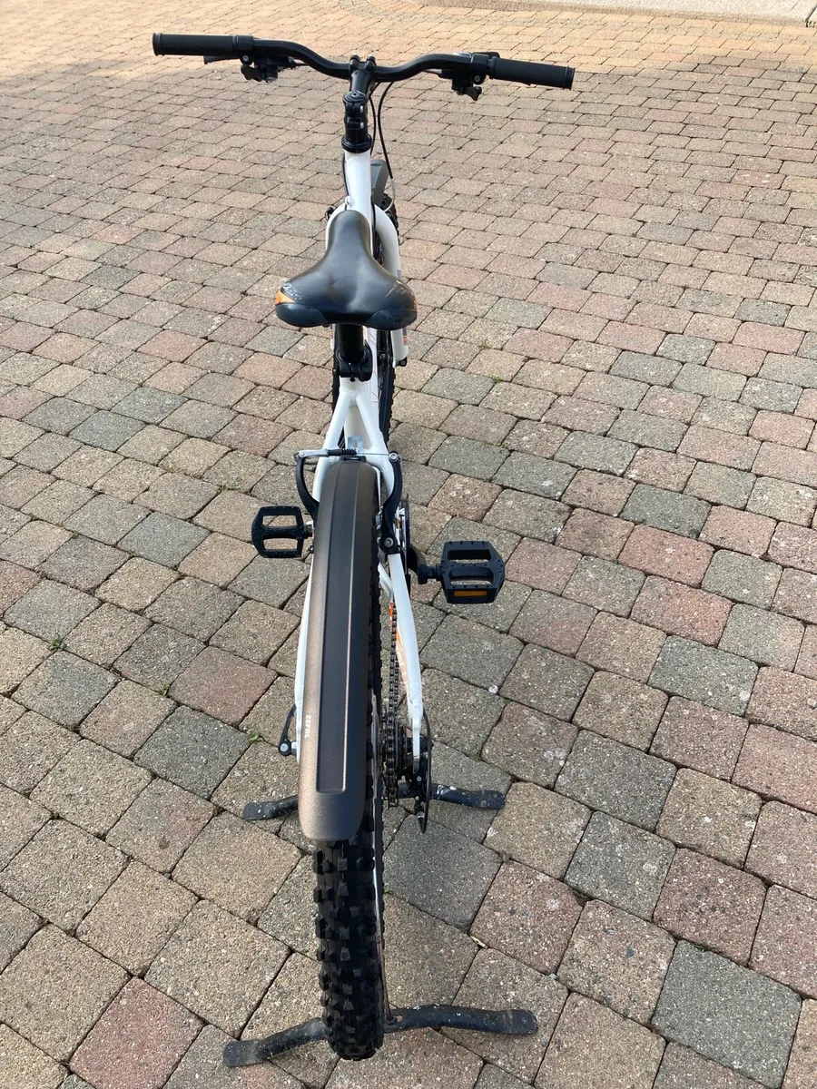 Raleigh Talus 1.0 mountain bike - Image 3