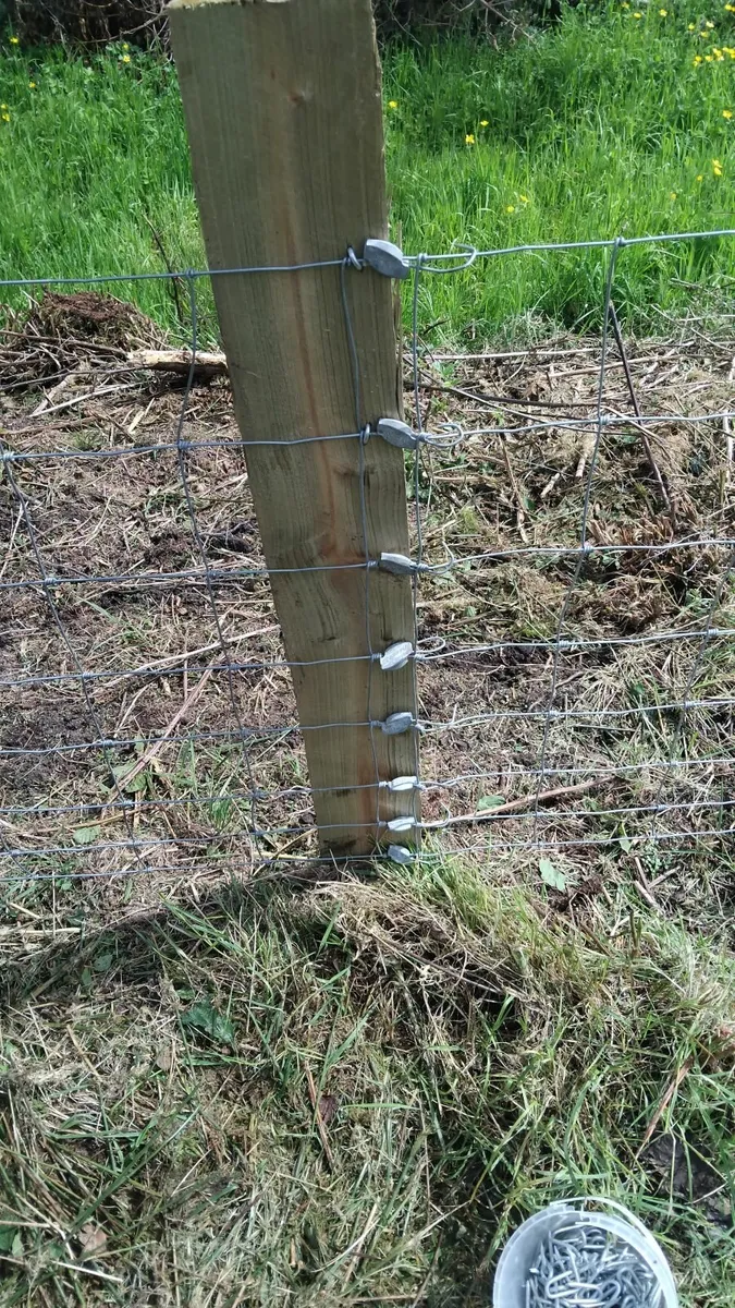 Digger tractor hire - Image 2