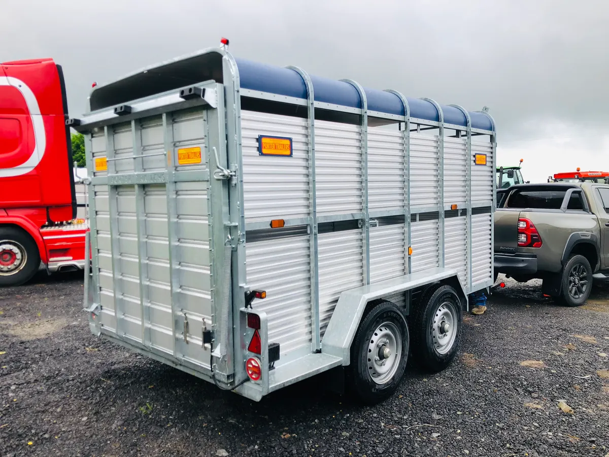 Porter Cattle Trailer 12ft - Finance Options - Image 2