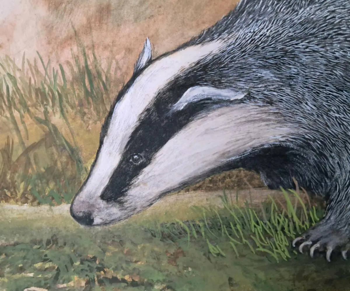 Wildlife Paintings - Image 4