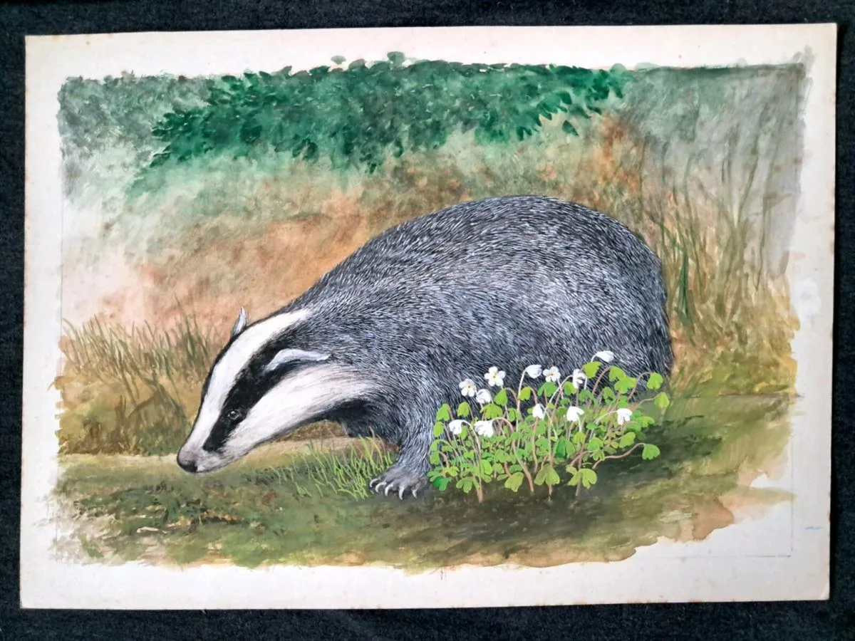 Wildlife Paintings - Image 1