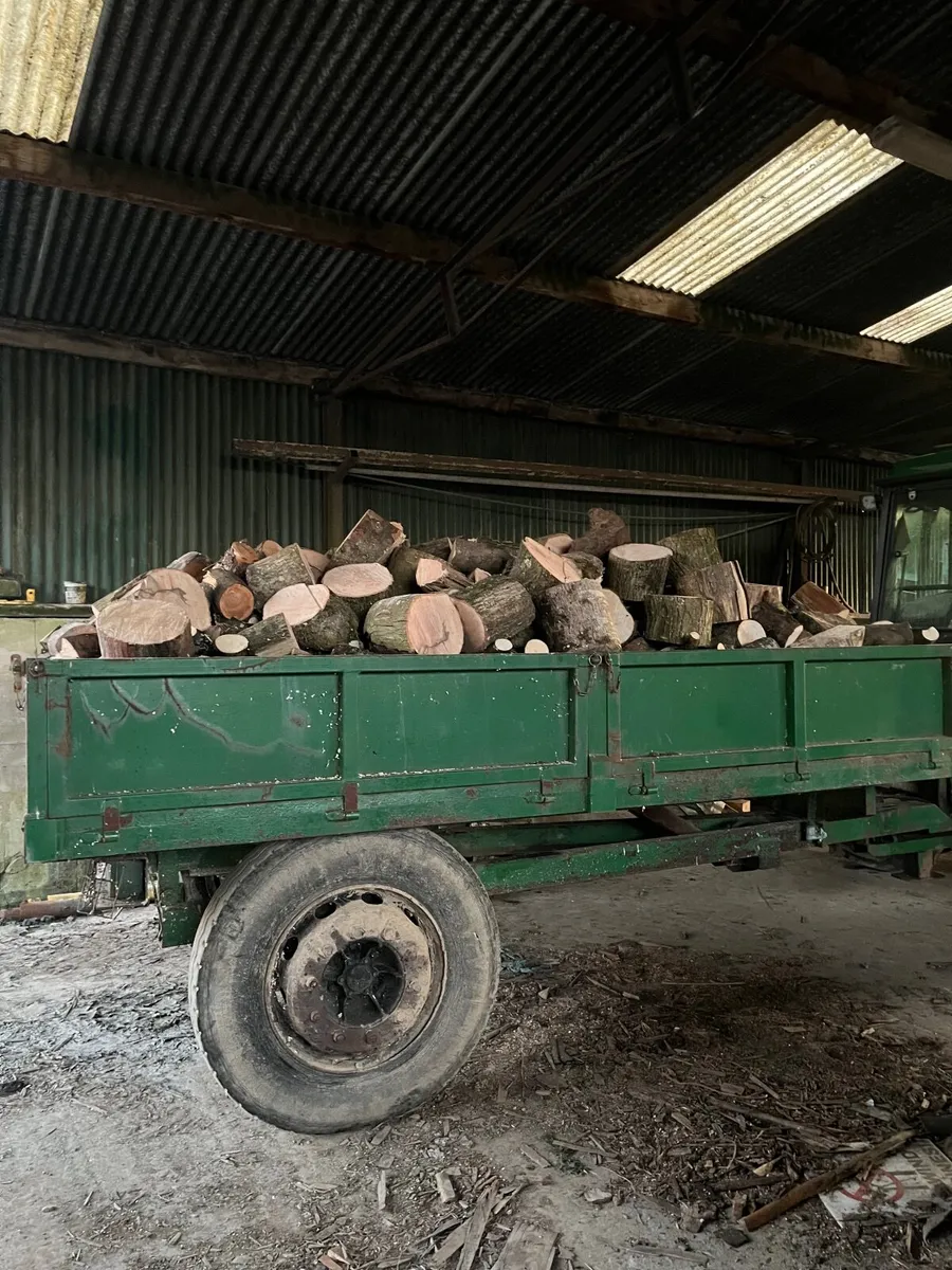 Firewood & trees - Image 3