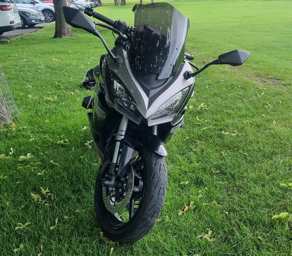 Ninja 1000sx - Image 4