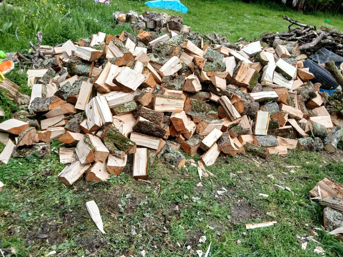 hardwood or softwood firewood for sale - Image 4