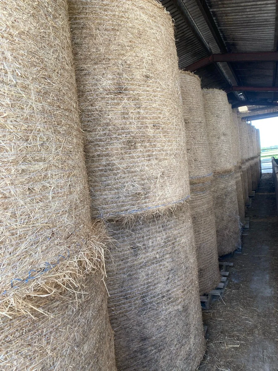 Round bales of well saved Hay & Haylage - Image 1