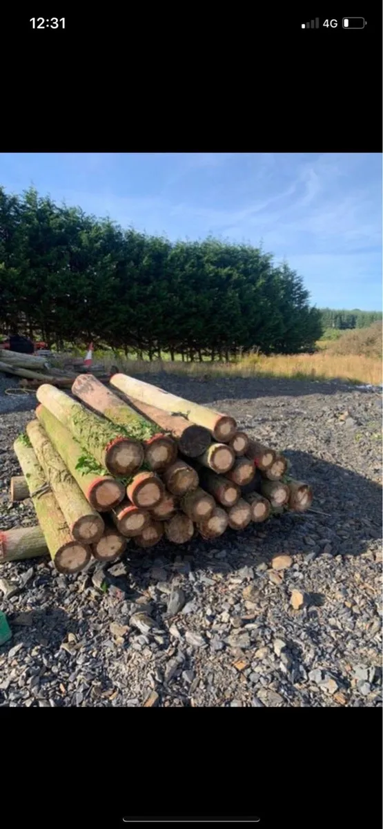 Straining post/Telephone poles