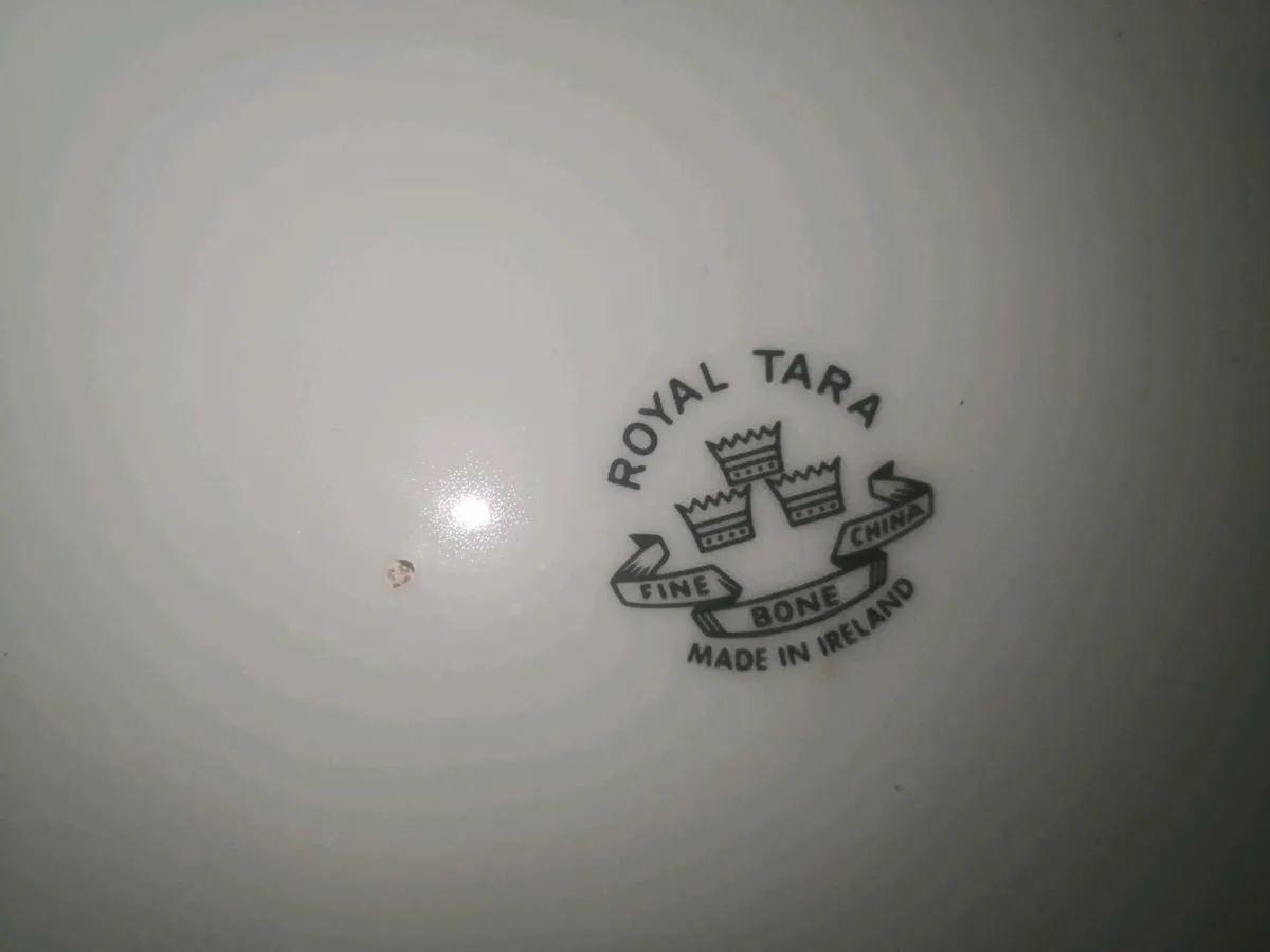 Pair of rare Royal Tara large plates - Image 4