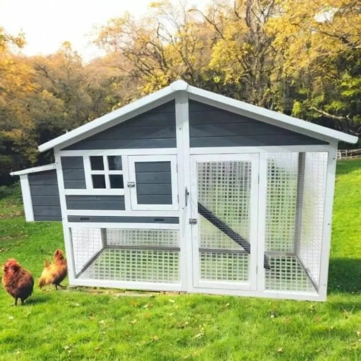 Eggs R Us Chicken Coop – 2 Colours Available – 4-6 - Image 1