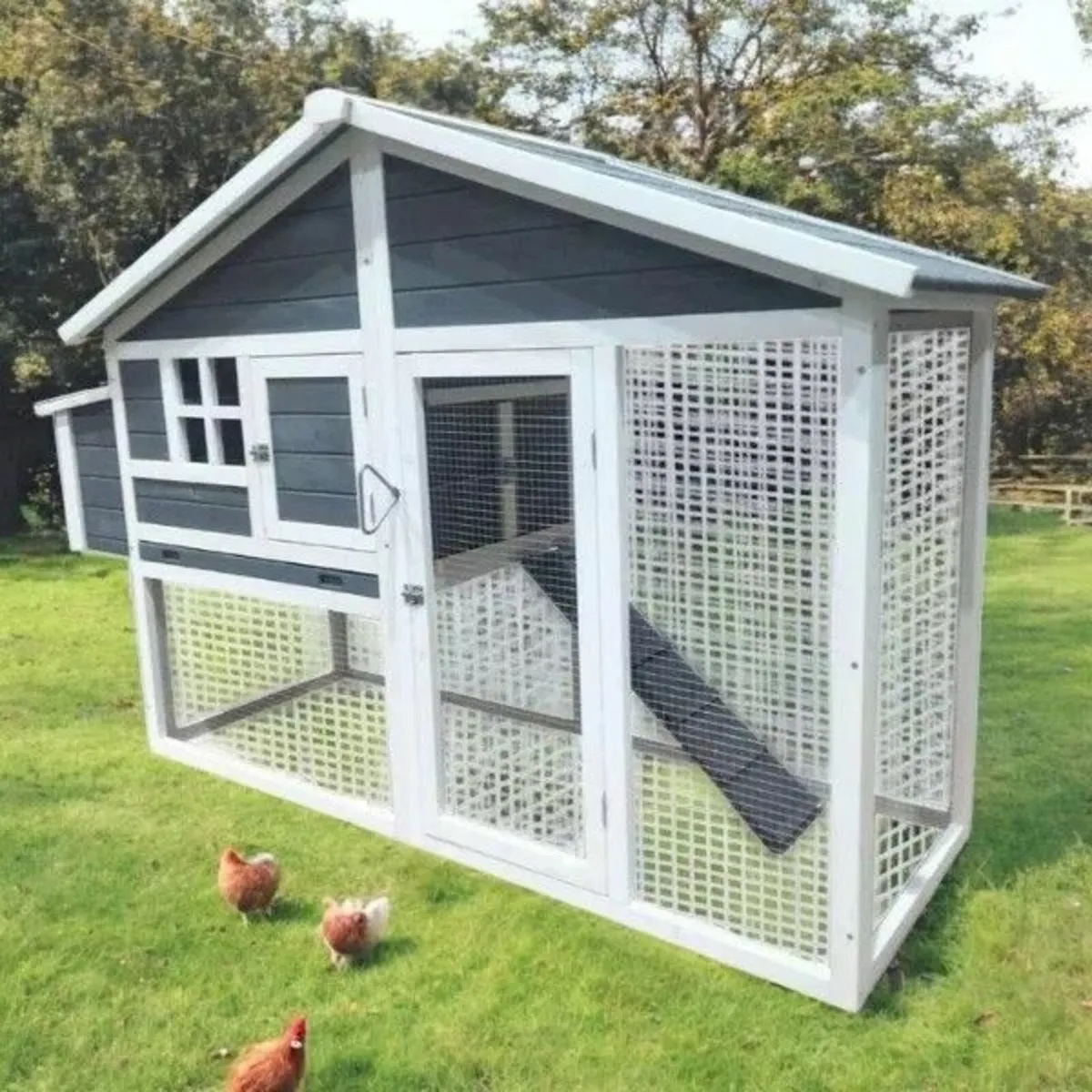 Eggs R Us Chicken Coop – 2 Colours Available – 4-6 - Image 1