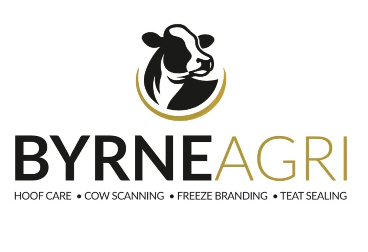 Hoof trimming and scanning - Image 2