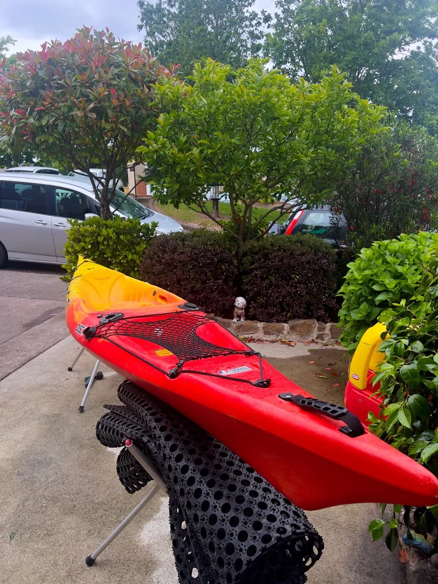 RTM Disco + Kayak - Image 2