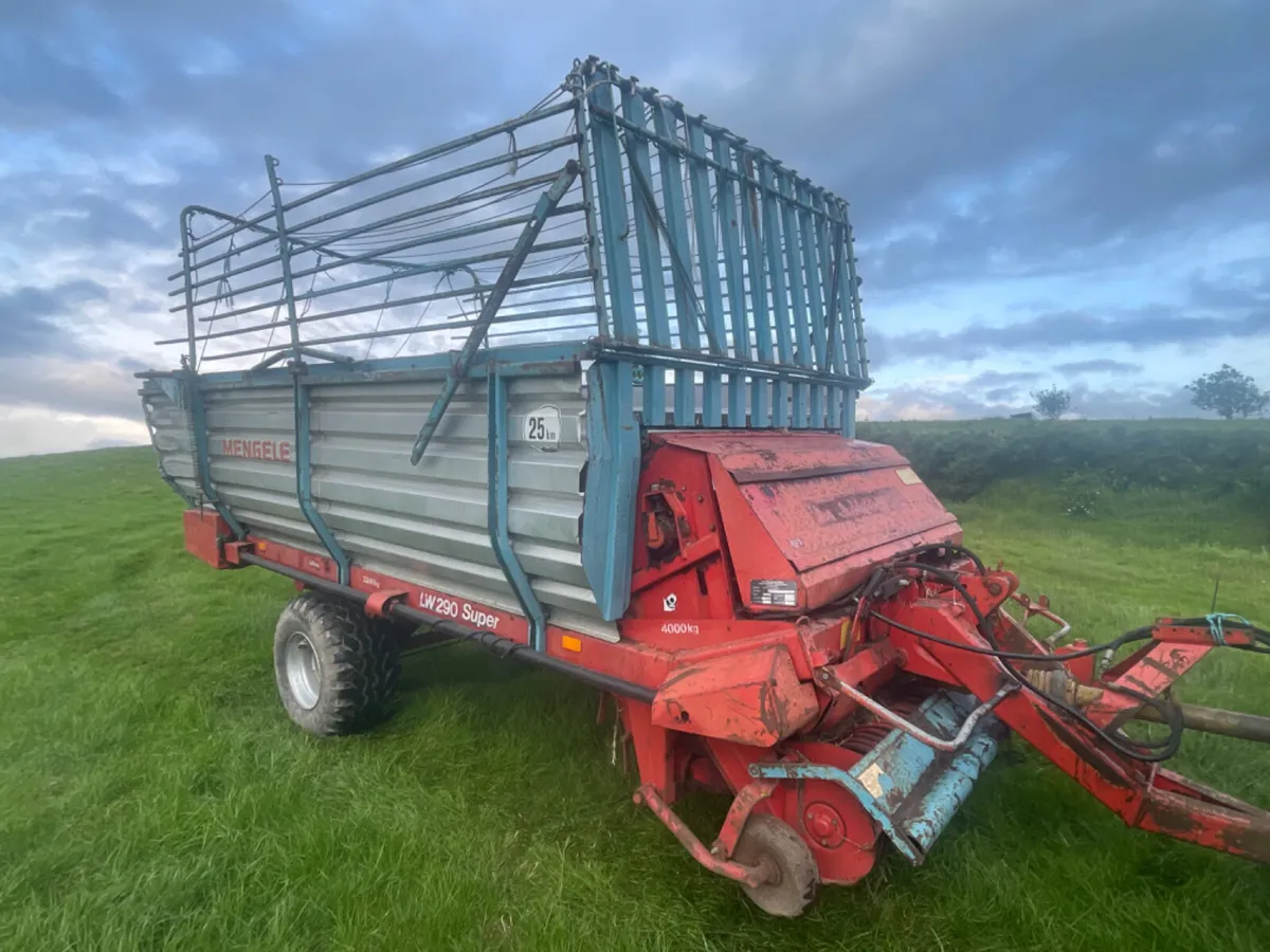 Mengele single wagon - Image 4