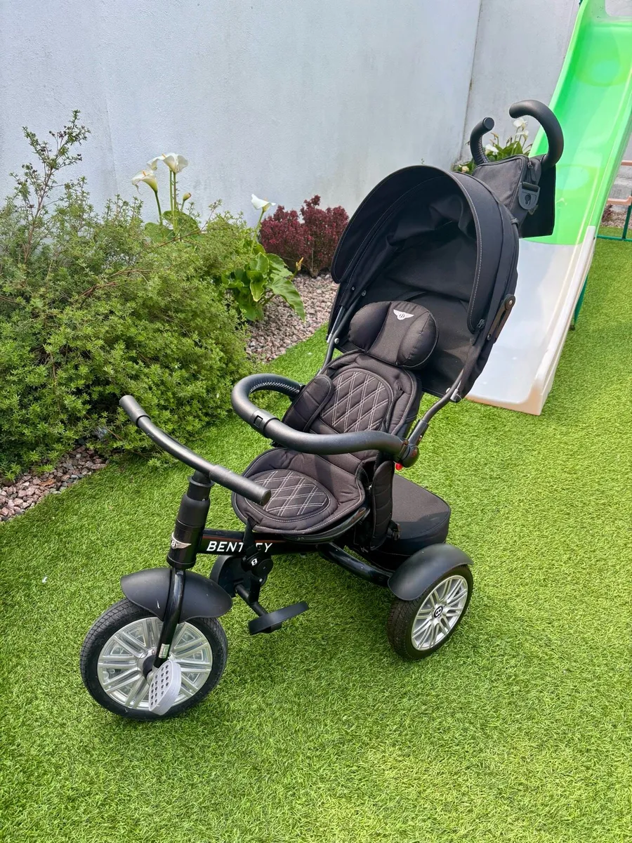 Children’s trike - Image 2