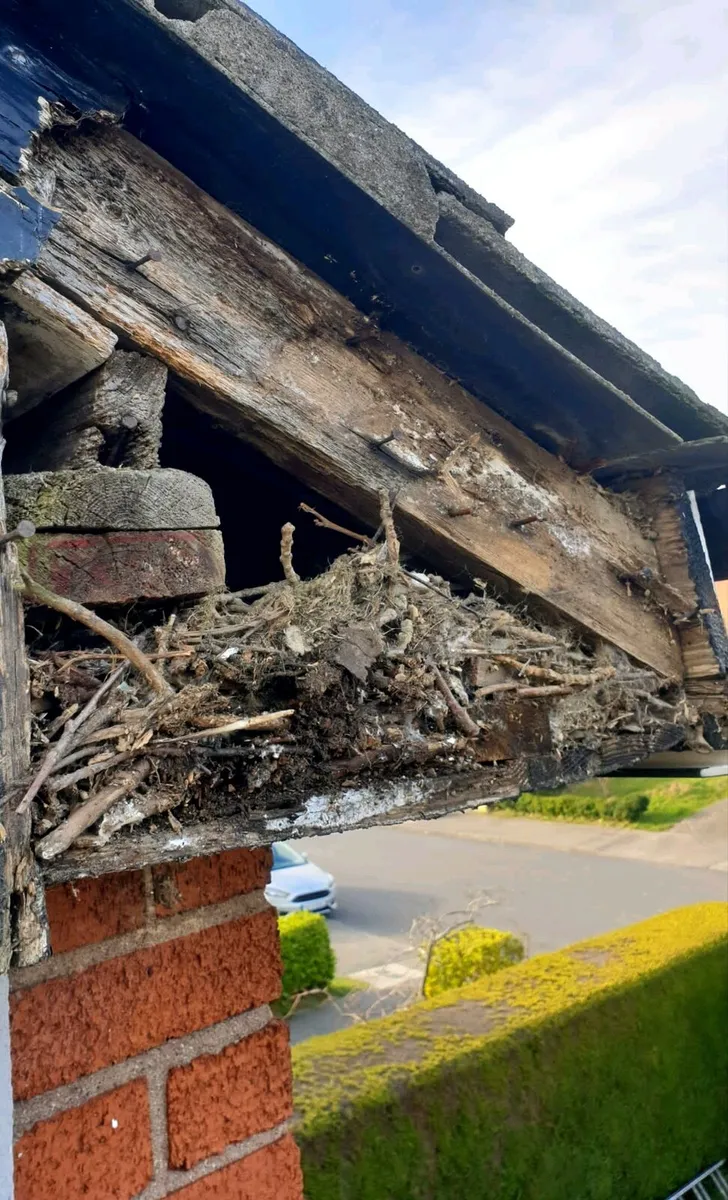 Dry verge system - Image 1