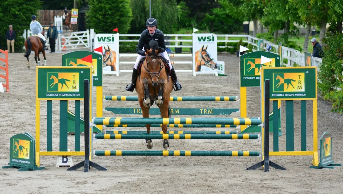 Sales, schooling and competition livery - Image 1