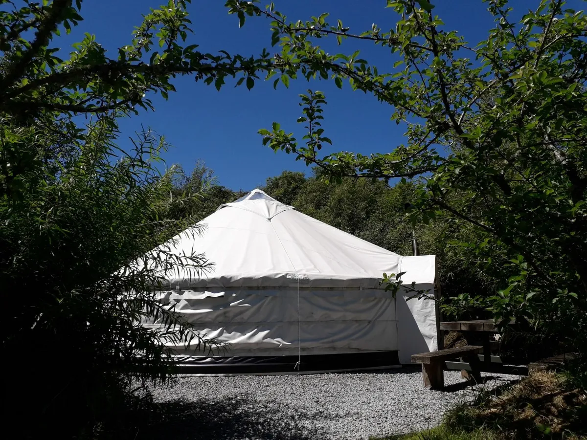 6 Metre Ireland made Yurt - Image 1