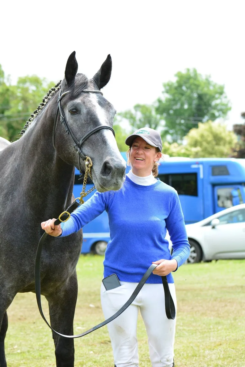 full livery - Image 2