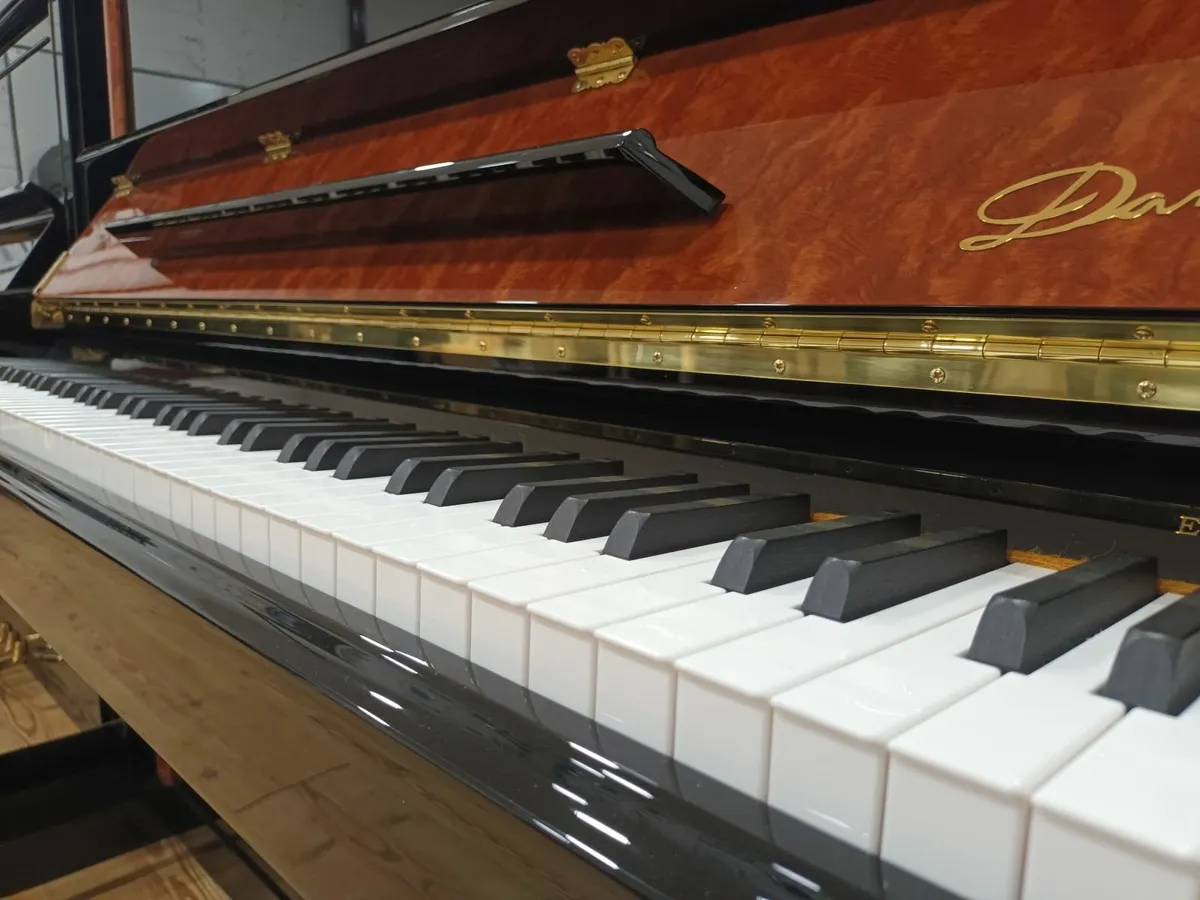 New Danemann Special Edition - Image 3