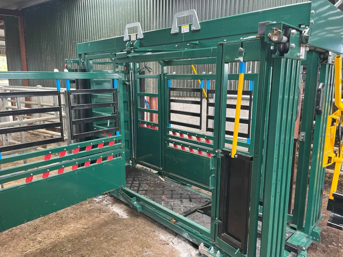 Cattle Crush - Image 4